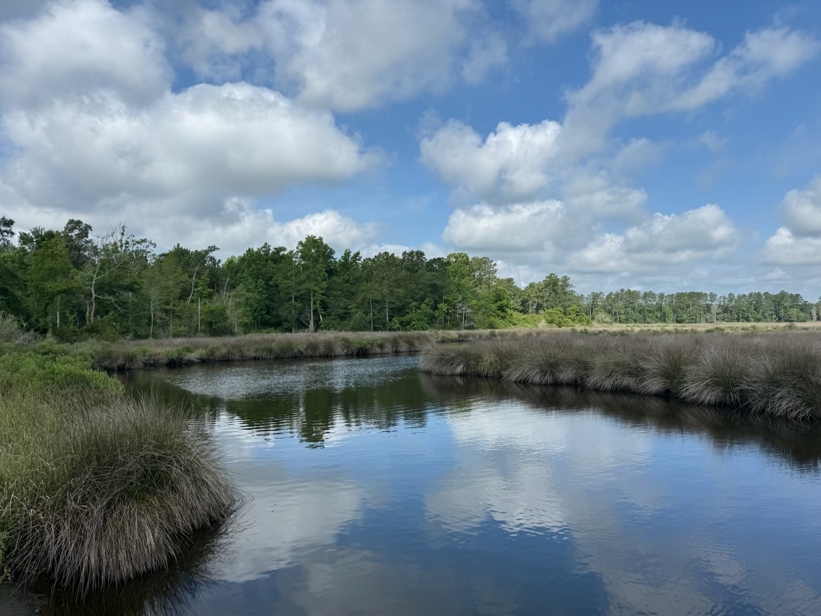 Bay River, Pamlico County